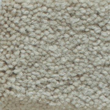 Foam