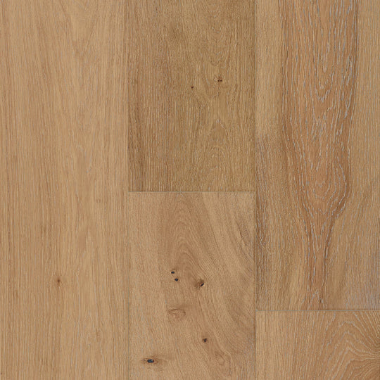 Atlantic in Jersey Shore