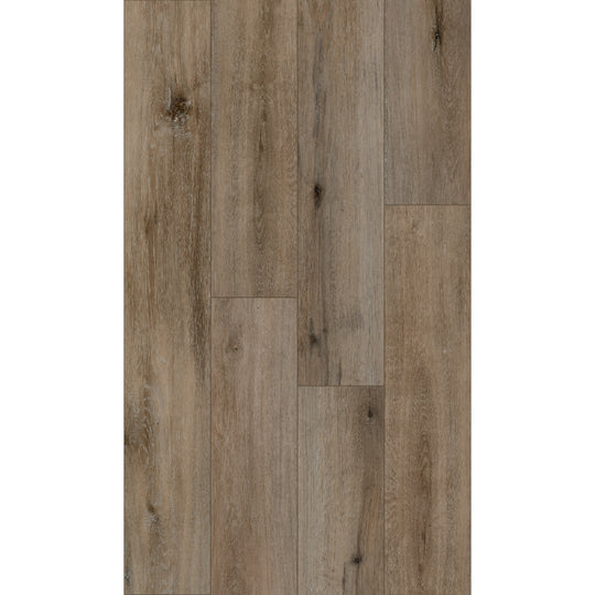 Cross Country in Belvedere