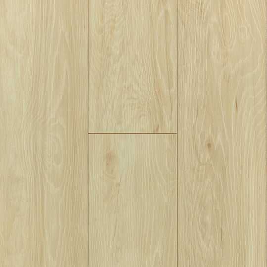 Palm Springs in Sand Dune