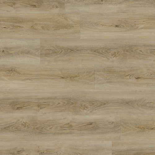 Coastal in Distant Shore