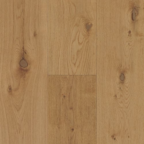 Amelia Island in Marche