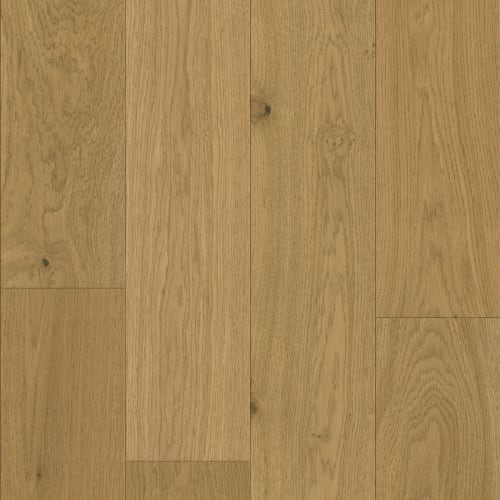 Exploration in Cartier