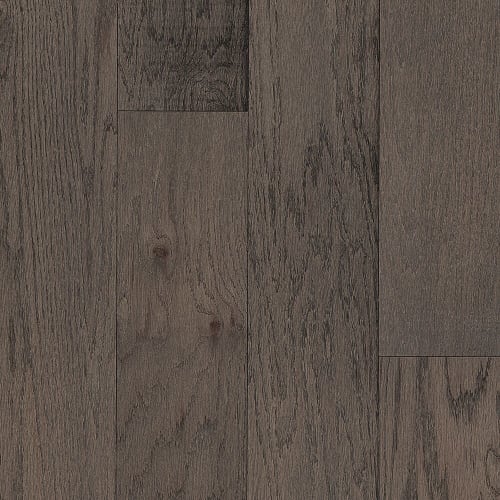 Patriot Trail in Steel