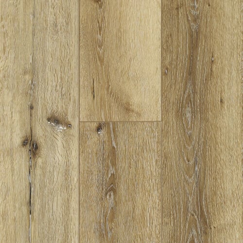 Ravine in Black Canyon