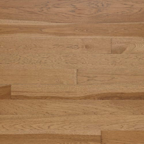Signature Solid Hickory Excel 3/4" in Sonora 3.25"