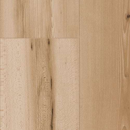 Olympic in Scala Beech