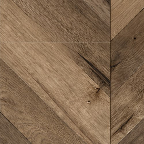 Helena in Mirabell Oak