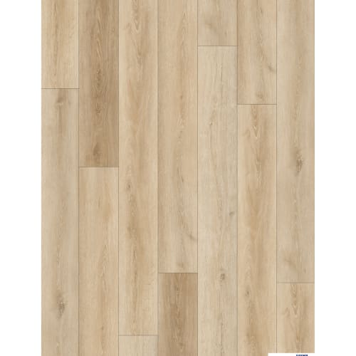 Vero Beach in Armani