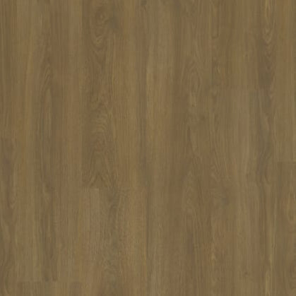 Modern Solution in Evere