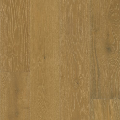 Ridge in Beverly Oak