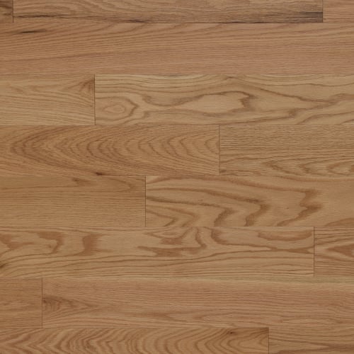 Green Mountain Solid Red Oak Excel 3/4" in Bromley 4.25"