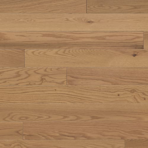Signature Solid Red Oak Excel 3/4" in Chamomille 4.25"