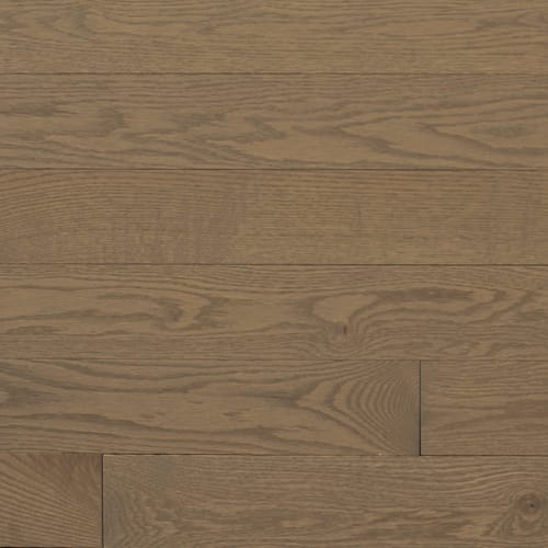 Signature Solid Red Oak Excel 3/4" in Chardonnay Um 3.25"