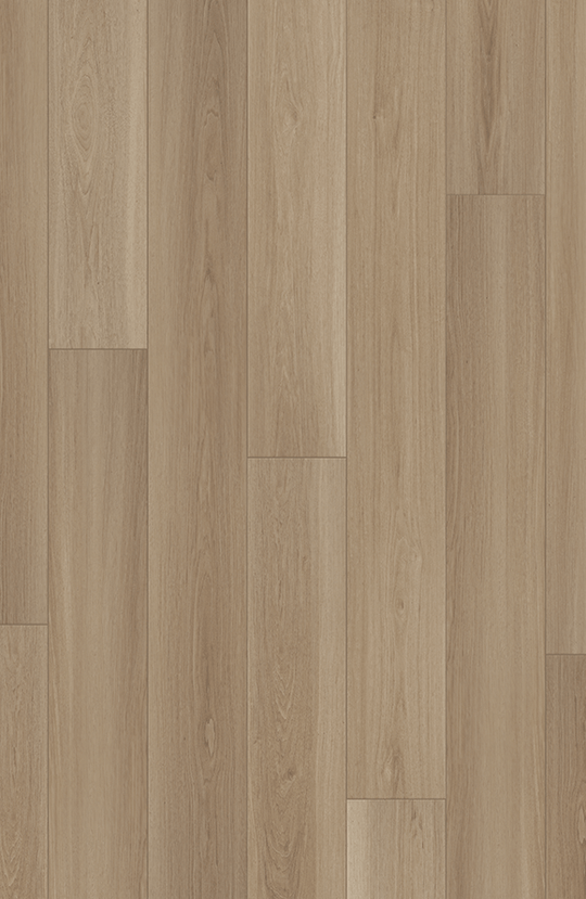 Saddle Oak