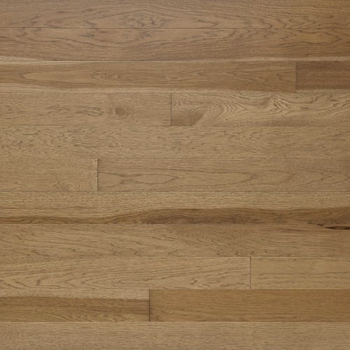 Signature Solid Hickory Excel 2.25 in Sonora 2.25"