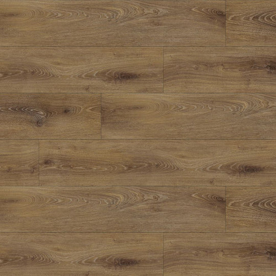 Britain in Nottingham