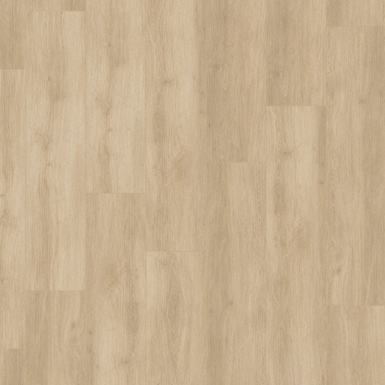 Big City In Parkview