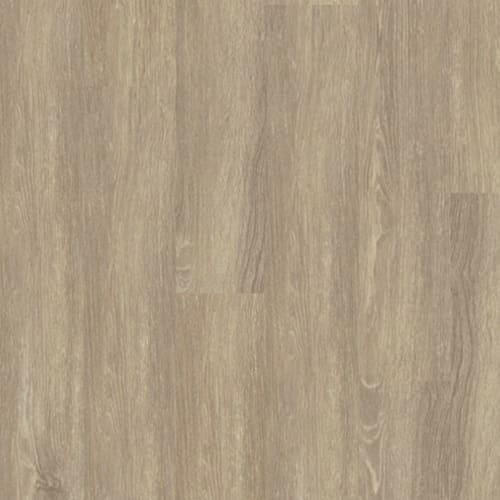 Hudson River in Stream