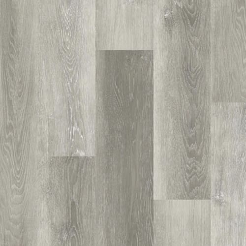 Suwannee River in Repose