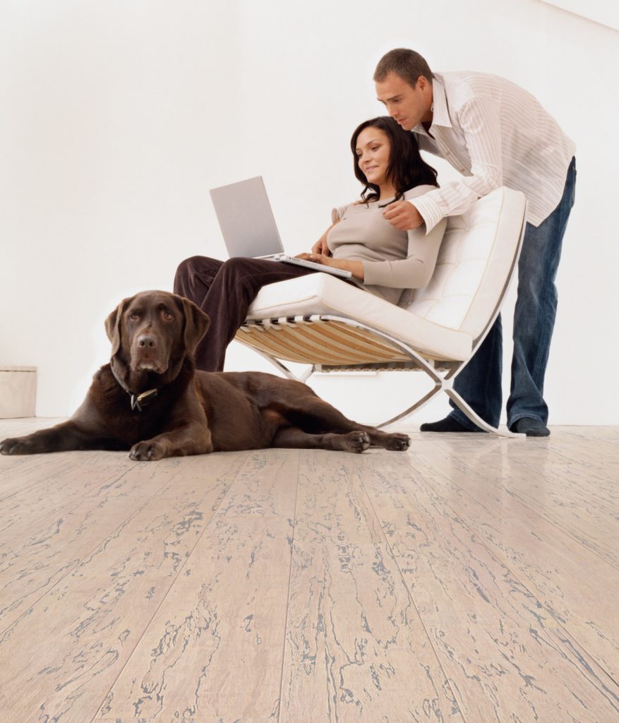 Best Pet Friendly Flooring Options, Are Bamboo Floors Durable For Dogs
