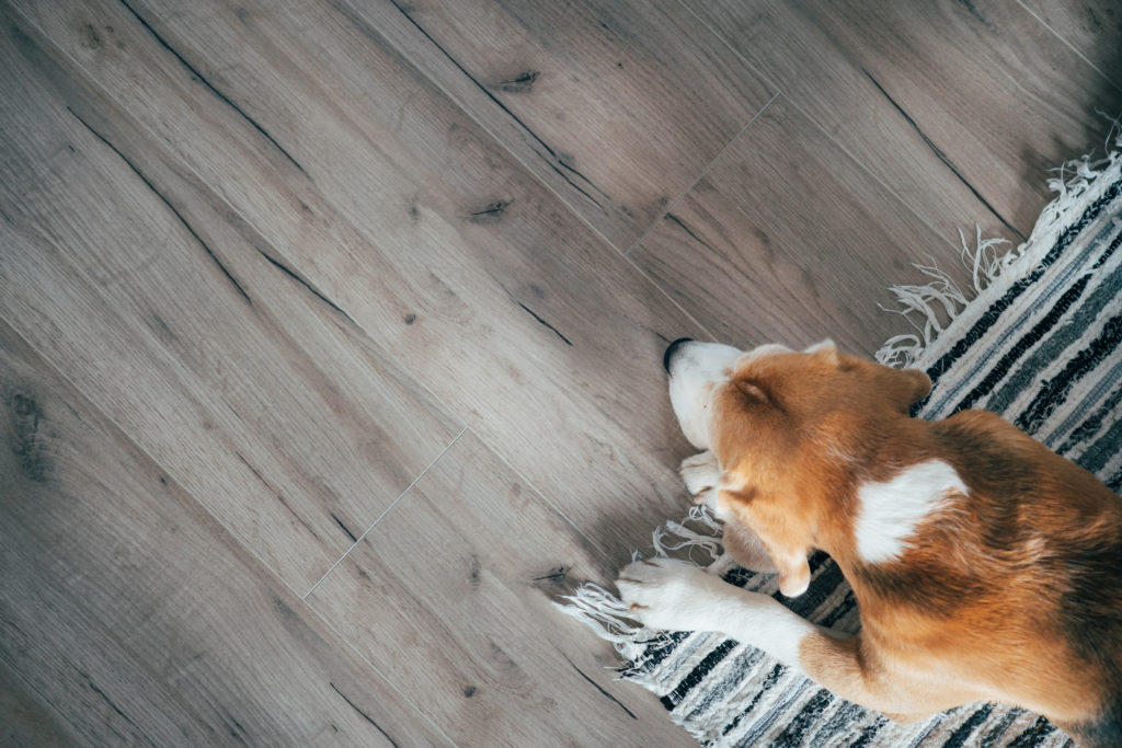 Wood Flooring For Dogs, What Is The Best Laminate Flooring For Pets