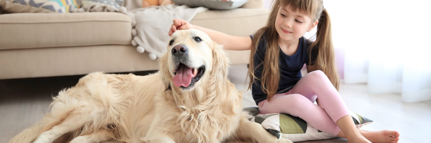 scratch resistant flooring featured image of a dog and girl on wood floor