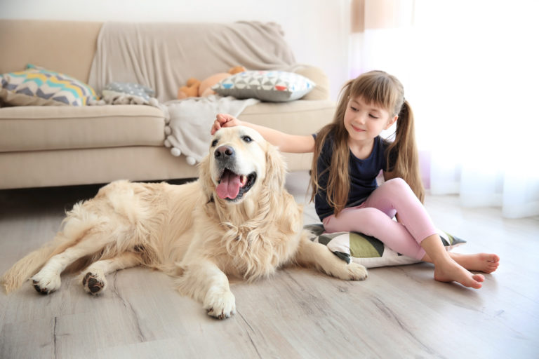 scratch resistant flooring featured image of a dog and girl on wood floor