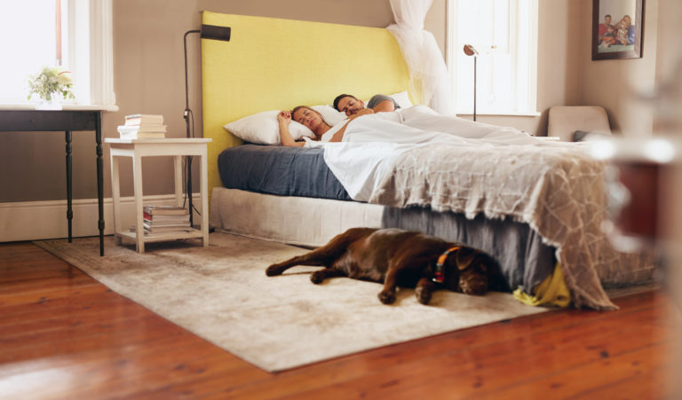 Carpet or Hardwood in Bedroom FI
