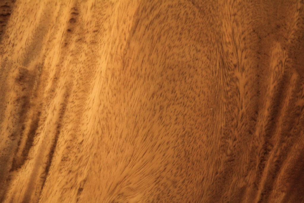 Kempas wood texture close-up