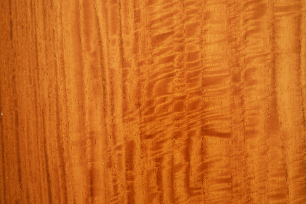 Padauk wood sample