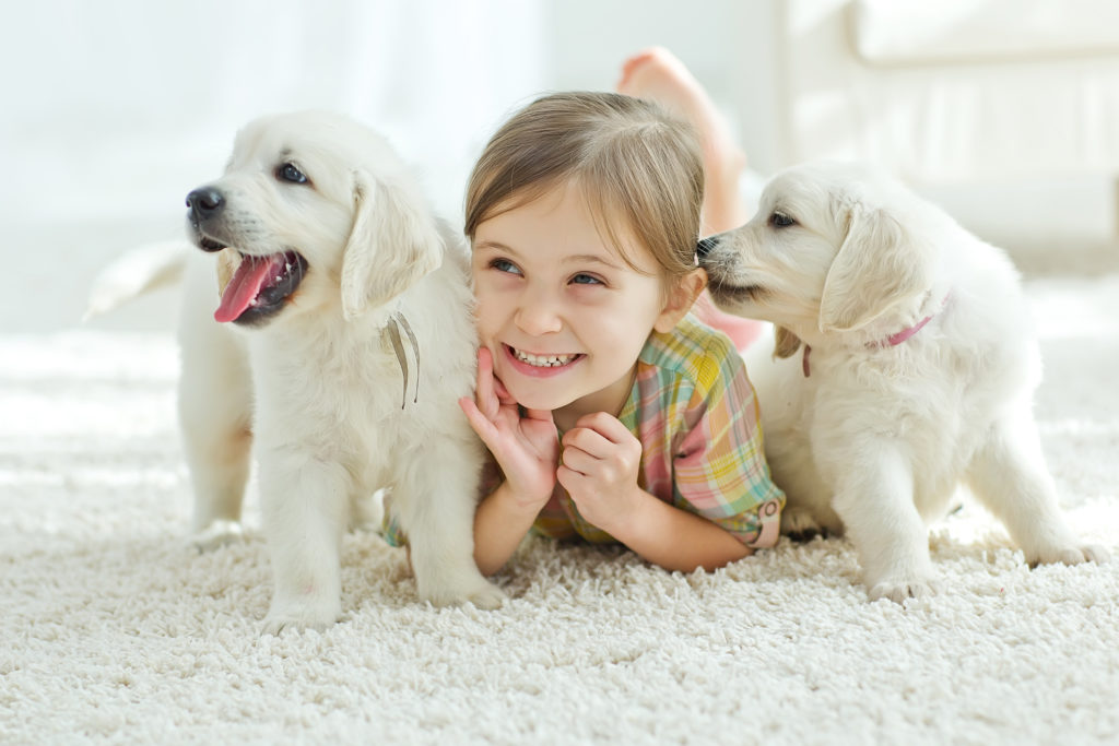 Child and dogs on white carpet