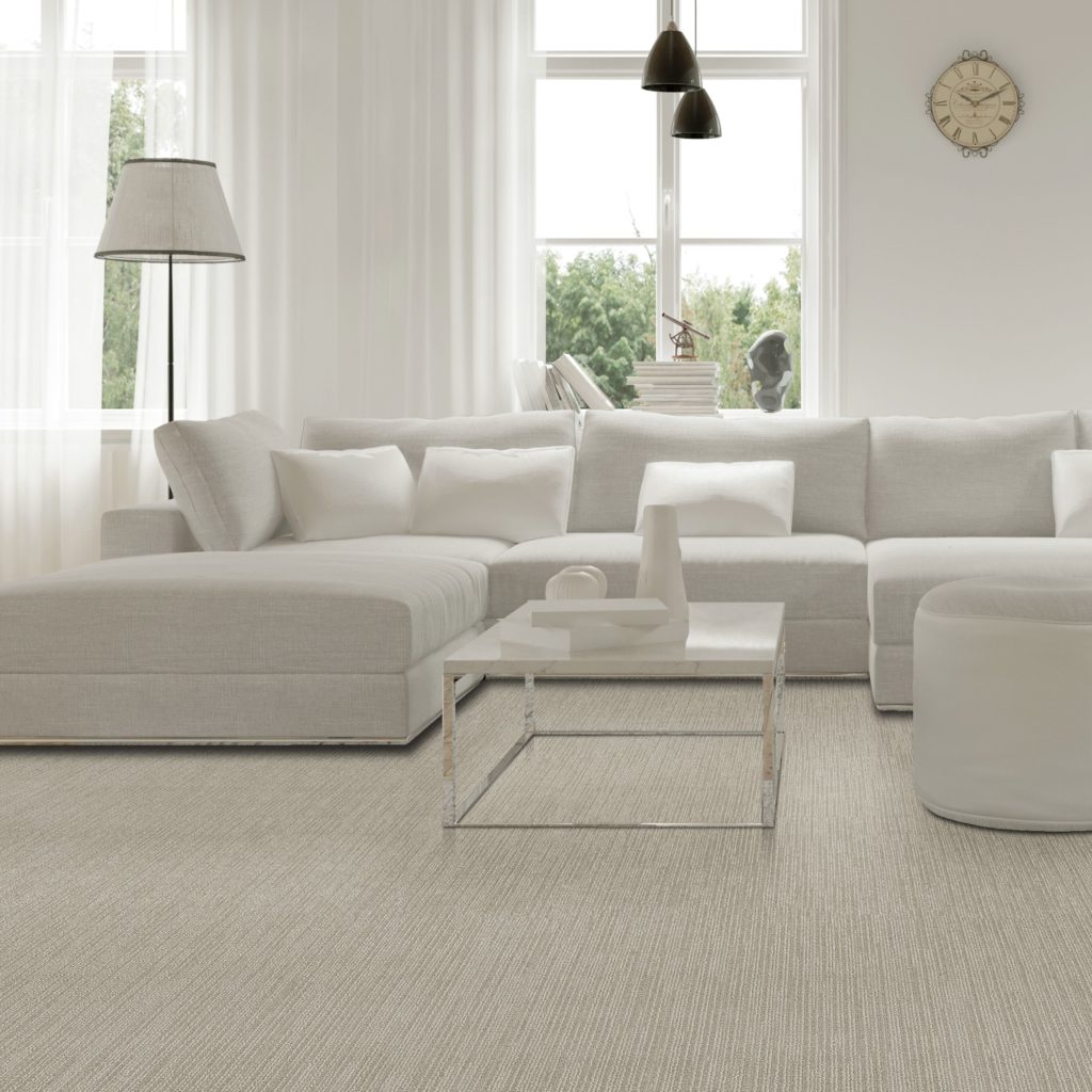 Newton Carpet in a living room scene. Newton is the best carpet for budget buyers.