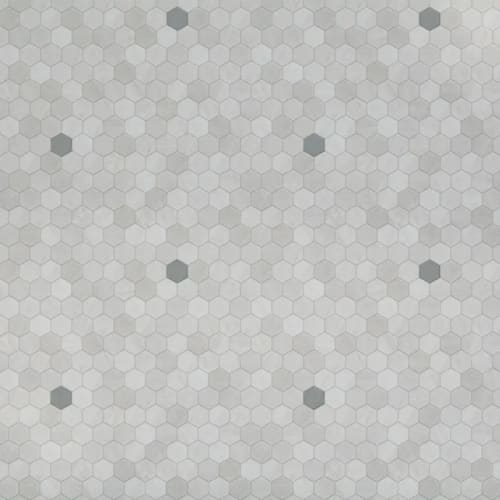 Penny Lane in Quartzite w/Granite