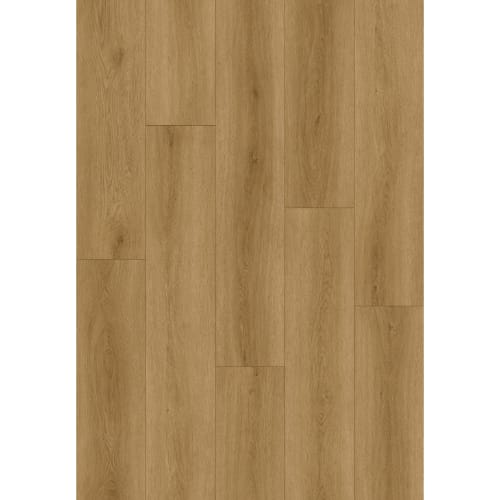 Barnsley in Orleans Square