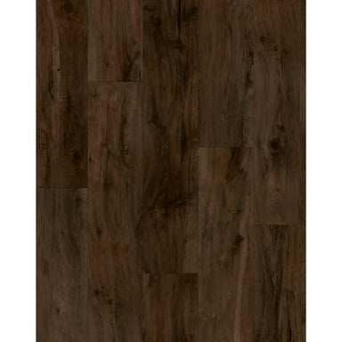 Mountain Top in Washington Square