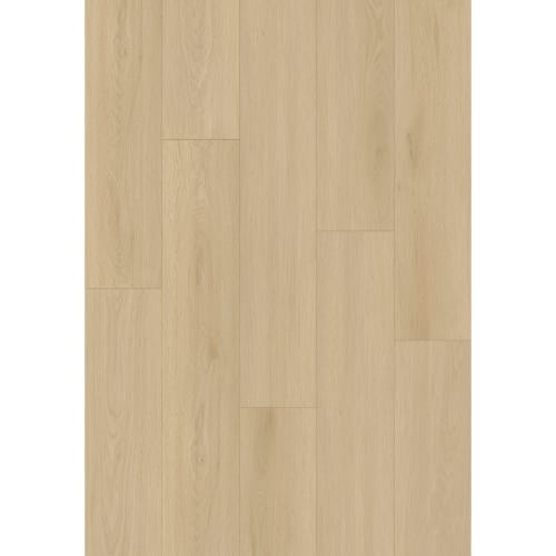 Refined Timbers in Broughton Street