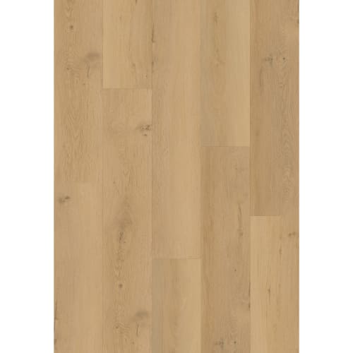 Refined Timbers in Abercorn Street