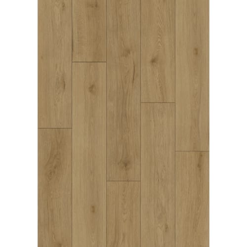 Wilmington River in Jones Street