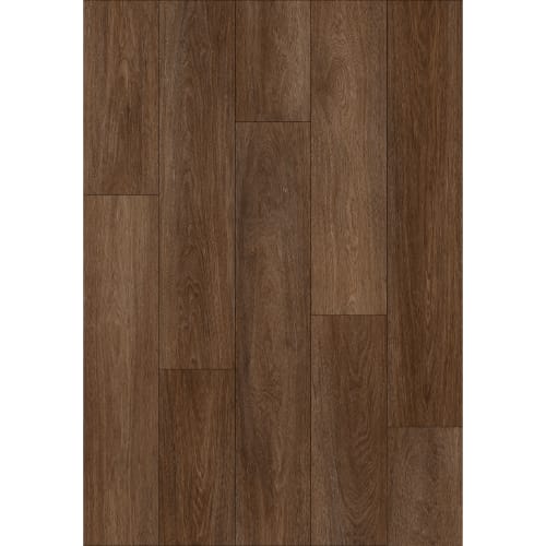 Carver in Harris Street