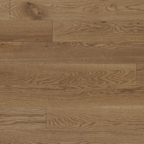 Signature Solid White Oak Prestige 3/4" in Sable Um 2.25"