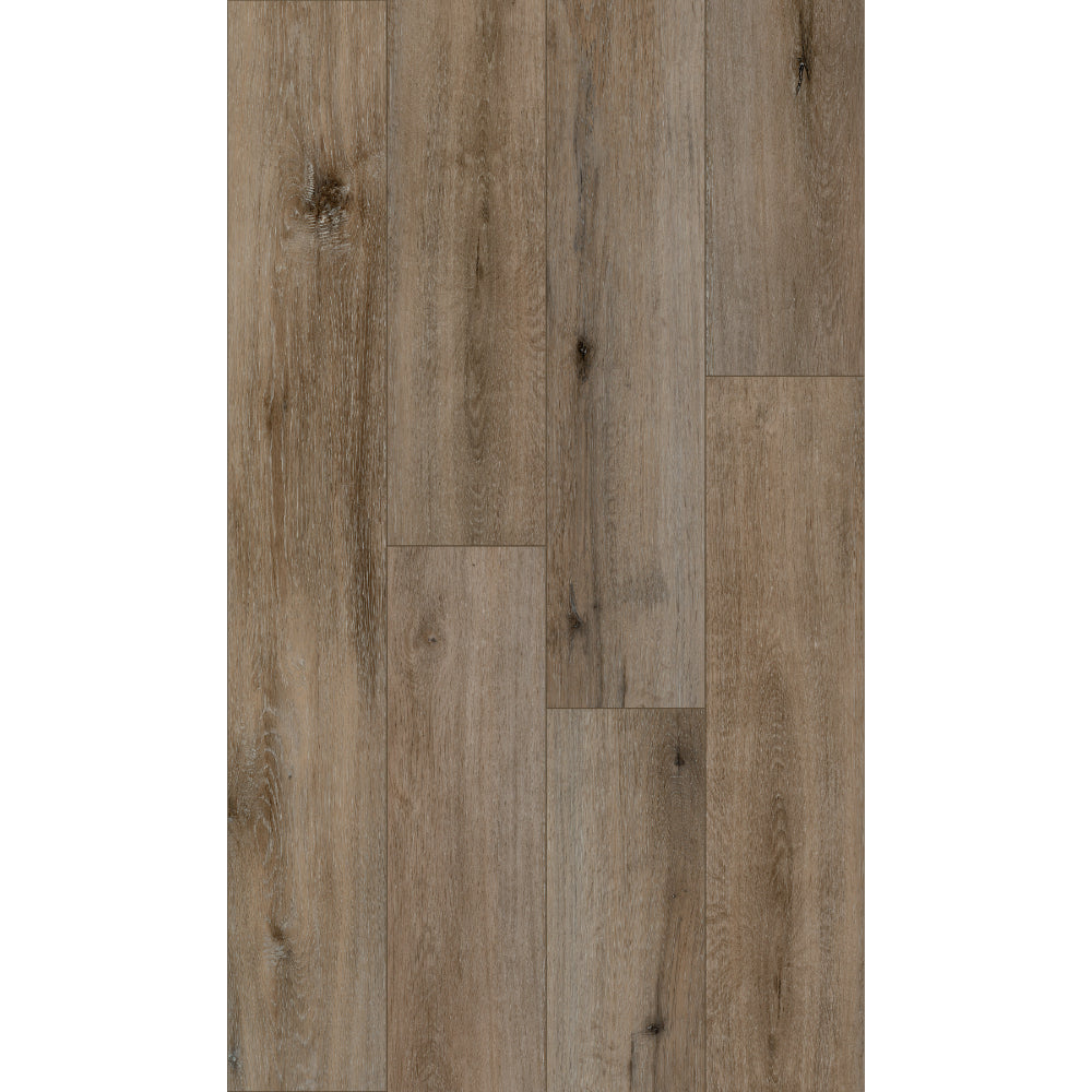 Cross Country in Belvedere