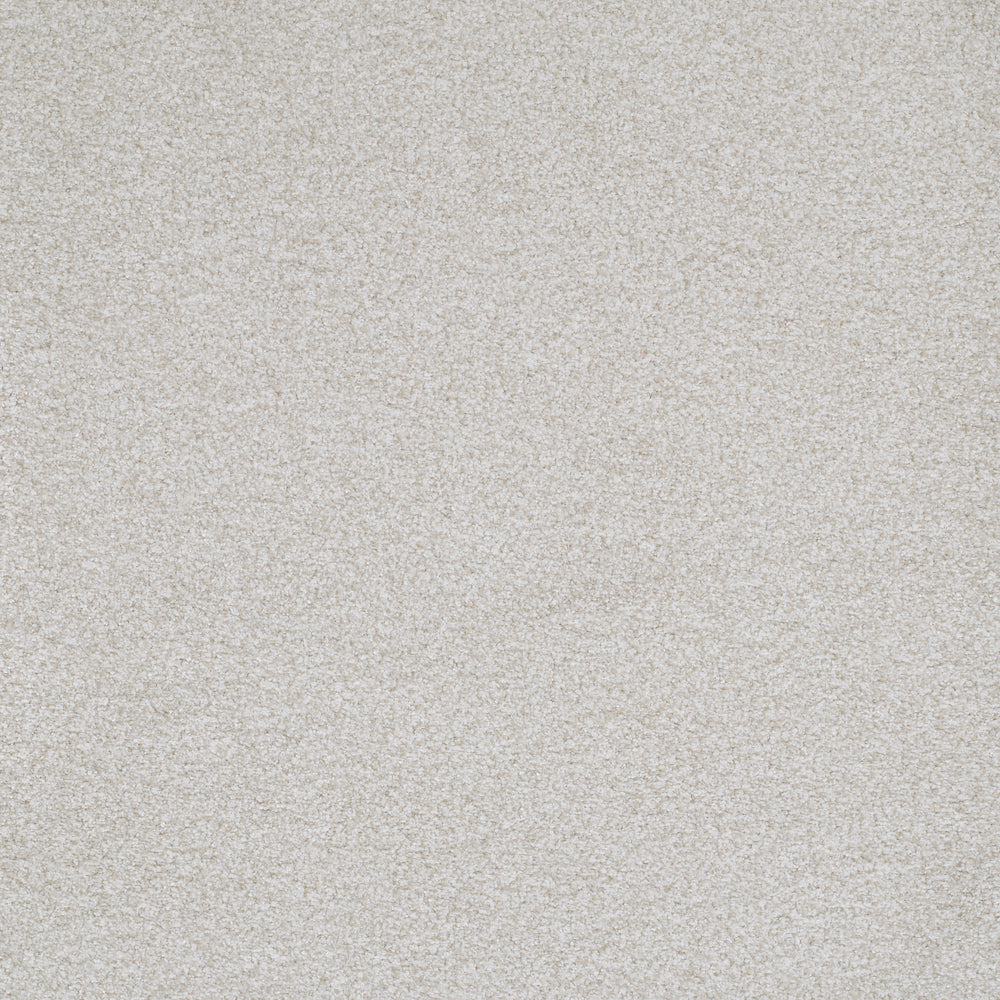 Boca Raton Carpet Flooring Masland Carpets