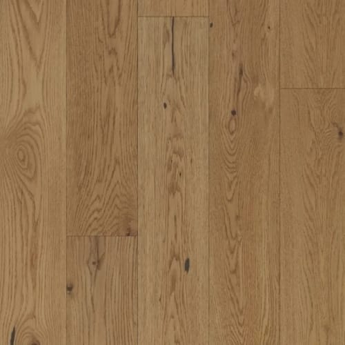 Handcrafted - Chateau in Dijon