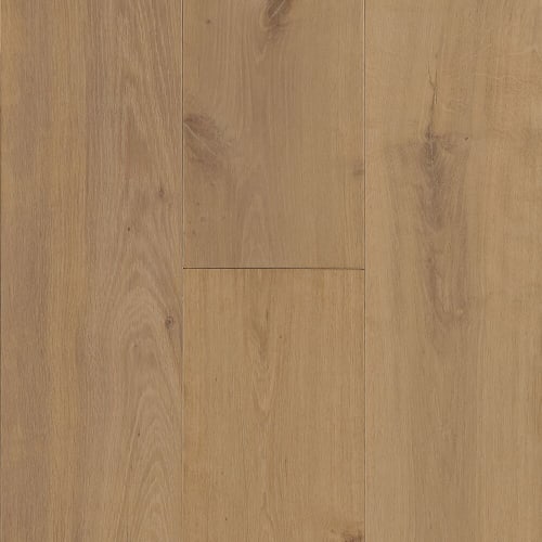 Amelia Island in Zin