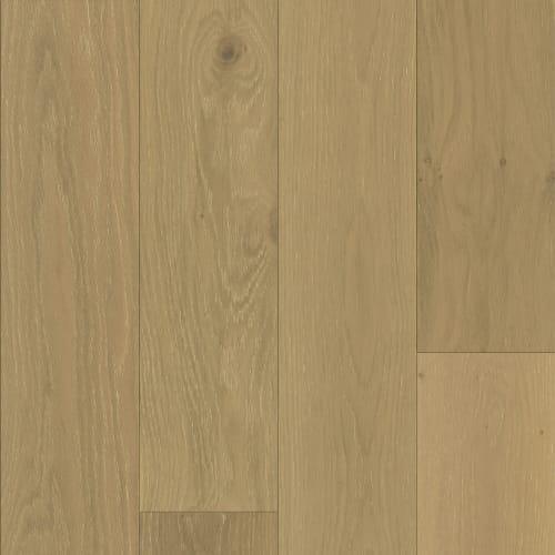 Exploration in Magellan