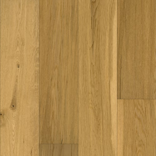 Exploration in Cortes