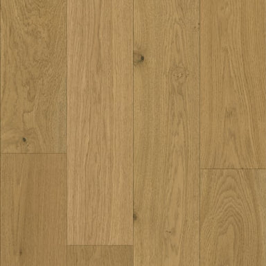 Exploration in Cartier