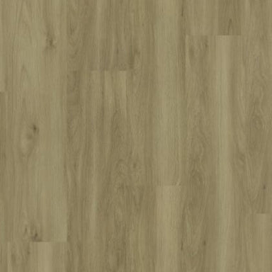 Modern Solution in Ghent