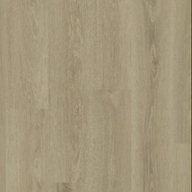 Modern Solution in Namur